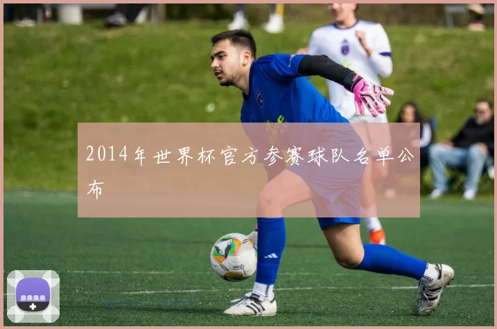 2014年世界杯官方参赛球队名单公布