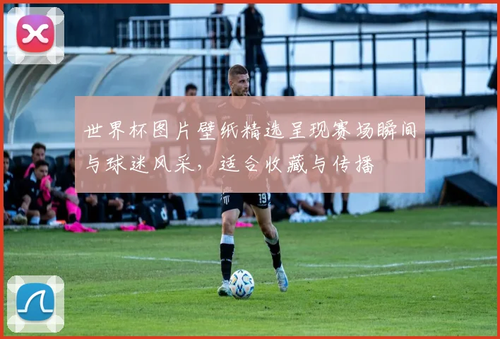 世界杯图片壁纸精选呈现赛场瞬间与球迷风采,适合收藏与传播