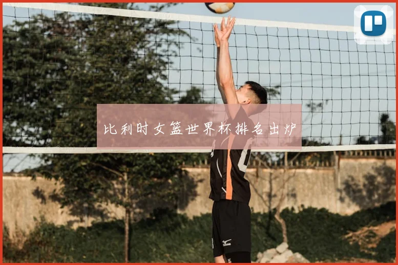 比利时女篮世界杯排名出炉