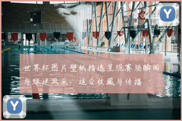 世界杯图片壁纸精选呈现赛场瞬间与球迷风采,适合收藏与传播