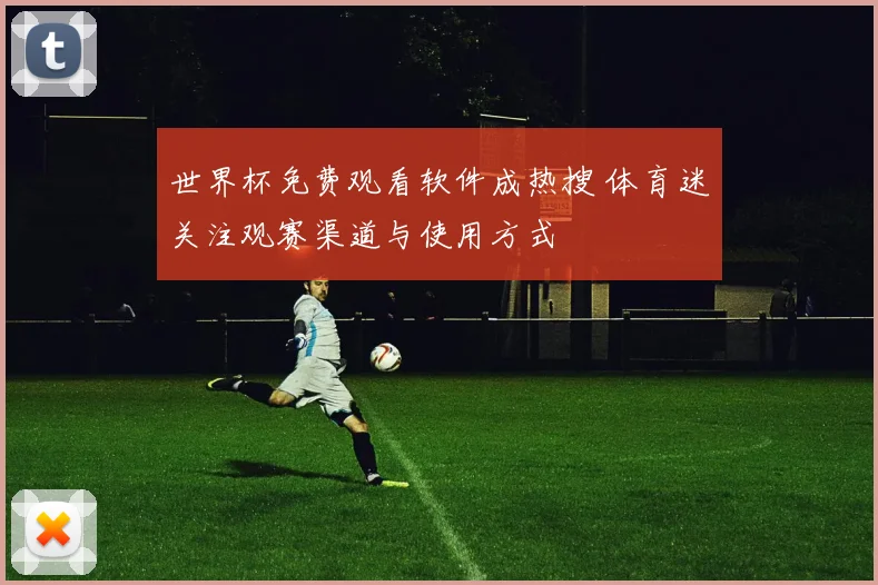 世界杯免费观看软件成热搜 体育迷关注观赛渠道与使用方式