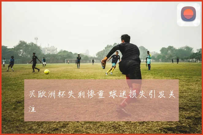 买欧洲杯失利惨重 球迷损失引发关注
