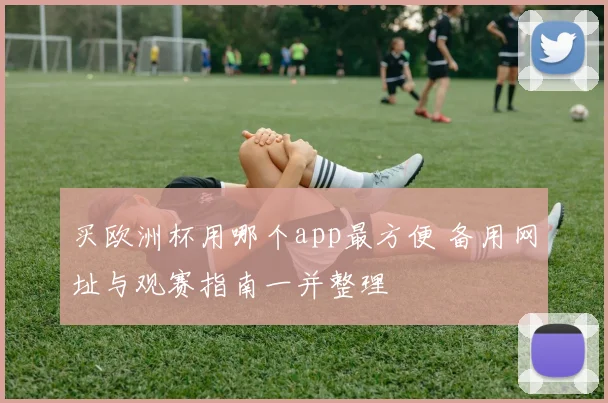 买欧洲杯用哪个app最方便 备用网址与观赛指南一并整理