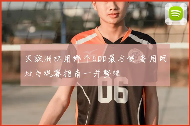 买欧洲杯用哪个app最方便 备用网址与观赛指南一并整理